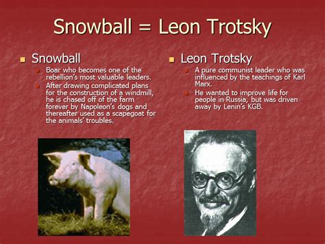 What Happened To Trotsky In Animal Farm